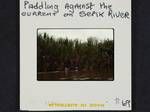 Women paddling against the current on Sepik River, [Papua New Guinea, 1969?]