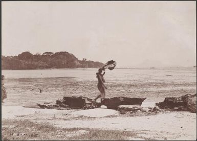 Woman walking along beach at Mota Lava with Ara in background, Banks Islands, 1906 / J.W. Beattie