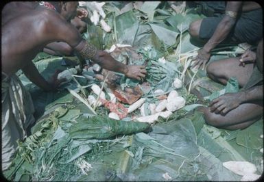 Pig-meat, kaukau, blood and fat wrapped in banana leaves : Wahgi Valley, Papua New Guinea, 1954 and 1955 / Terence and Margaret Spencer