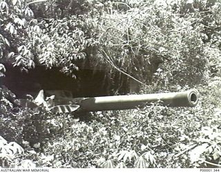 NEW BRITAIN, 1945-09. THE BARREL OF A JAPANESE NAVAL GUN PROTRUDES FROM ITS POSITION ON THE GAZELLE PENINSULA. (RNZAF OFFICIAL PHOTOGRAPH.)