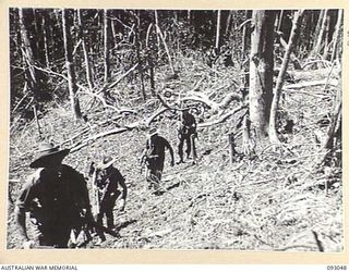 WEWAK AREA, NEW GUINEA, 1945-06-11. TROOPS OF B COMPANY, 2/8 INFANTRY BATTALION ON HILL 2 AS THE UNIT MOVES FORWARD. IDENTIFIED PERSONNEL ARE:- SGT C. JONES (1); PTE E.R. THOMSON (2); PTE M.S. ..