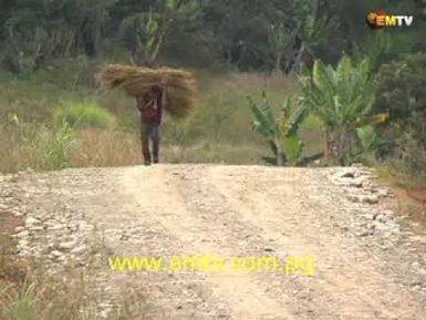 Daulo District Prioritizes Rural Road Development