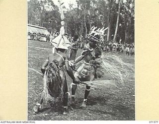 SONG RIVER, FINSCHHAFEN AREA, NEW GUINEA. 1944-03-26. TWO NATIVES, DRESSED TO REPRESENT ROOSTERS FIGHTING, PICTURED DURING A SING-SING IN THE AUSTRALIAN NEW GUINEA ADMINISTRATIVE UNIT COMPOUND ..