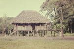 Rigo villager's home at Poligolo, Dec 1964