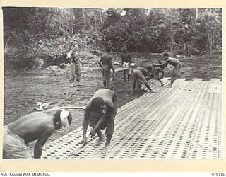 BOUGAINVILLE ISLAND. 1945-03-05. AUSTRALIAN NEW GUINEA ADMINISTRATIVE UNIT NATIVES ATTACHED TO HEADQUARTERS, 3RD DIVISION, LAYING METAL STRIPS FOR THE EXTENSION OF THE VERNON AIRSTRIP WHICH IS USED ..