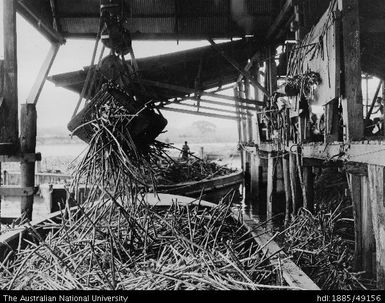 Nausori Mill - mechanical grab unloading cane from punts