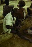 Making a traditional chest ornament while listening to a New Guinea candidate in House of Assembly elections, Maprik, 1964