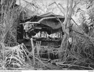 NAMBARIWA, NEW GUINEA. 1944-01-21. AUSTRALIAN SERVICE PERSONNEL EXAMINING ONE OF THE 400 ODD SLEEPING HUTS USED BY THE JAPANESE FORCES DURING THEIR OCCUPATION OF THE SIO AREA. WHEN THE AREA WAS ..