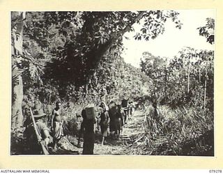 KAMANDRAN, NEW BRITAIN. 1945-02-19. AUSTRALIAN NEW GUINEA ADMINISTRATIVE UNIT NATIVES CARRYING AMMUNITION AND STORES UP TO THE AUSTRALIAN TROOPS IN THE FORWARD AREAS