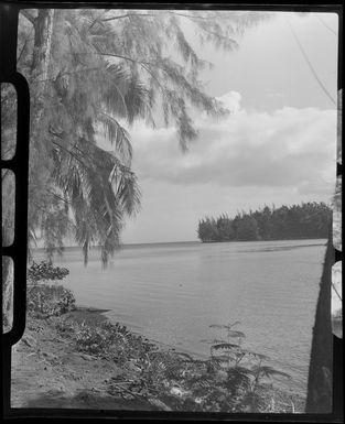 Coastal scene, Tahiti, showing shoreline