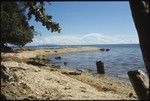 Beach landscape