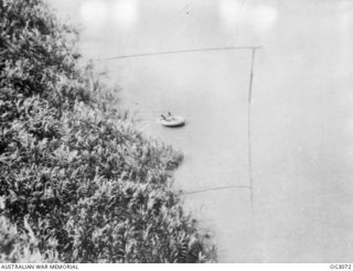 WEWAK AREA, NORTH EAST NEW GUINEA. C. 1945-06. IN ORDER TO RESCUE AN AMERICAN PILOT, LIEUTENANT (LT) J. P. CARTER, WHO HAD BALED OUT OF HIS LIGHTNING AIRCRAFT NEAR ENEMY-OCCUPIED TERRITORY, TWO ..