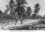 Biddulph and Kellogg walking down Operation Crossroads highway to collect specimens and survey the land on Bikini Island for radiation, summer 1949