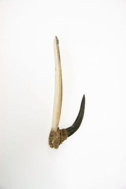 Fish hook