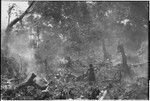 Land clearing: men remove trees and bushes from rocky land, preparing for construction