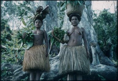 Mother and daughter return heavily laden from their garden : Environs of Mapamoiwa, D'Entrecasteaux Islands, Papua New Guinea, 1956 / Terence and Margaret Spencer