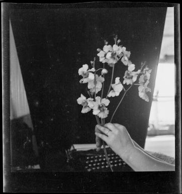 Hand holding flowers in front of a Royal typewriter, Rabaul, New Guinea, ca. 1936 / Sarah Chinnery