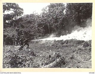 KARAWOP, NEW GUINEA. 1945-07-19. STUDENTS OF 2/6 CAVALRY (COMMANDO) REGIMENT FIRING THIN FUEL, A FREE FLOWING INFLAMMABLE LIQUID WHICH DEPENDS ON ITS GREAT HEAT FOR EFFECT. THIS FUEL HAS NOT THE ..