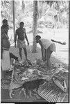 Ambaiat: owner of pig (which has been killed for damaging garden) distributes pork, dogs await scraps