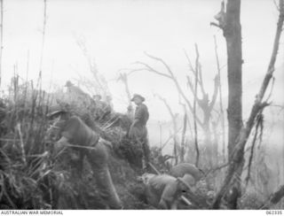 SHAGGY RIDGE, NEW GUINEA. 1943-12-27. TROOPS OF THE 2/16TH AUSTRALIAN INFANTRY BATTALION, 21ST AUSTRALIAN INFANTRY BRIGADE DIGGING IN AND CONSOLIDATING THEIR NEW POSITIONS ON THE "PIMPLE" AFTER ..