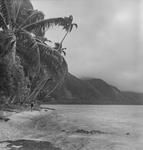 Beach scene at Tahiti