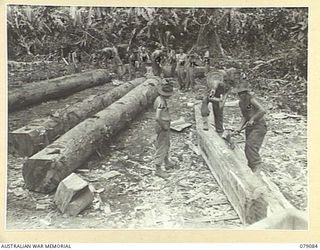BOUGAINVILLE ISLAND. 1945-02-12. ENGINEERS OF THE 5TH FIELD COMPANY PREPARING JUNGLE LOGS FOR USE AS BEARERS FOR A NEW 24 TON BRIDGE ON THE MOSIGETTA ROAD