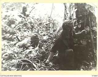 KARKAR ISLAND, NEW GUINEA. 1944-06-03. NX150855 PRIVATE H.D. BOBBY (1), AND VX84603 SERGEANT B. OSBORNE (2), MEMBERS OF THE 37/52ND INFANTRY BATTALION, IN ACTION DURING THE ADVANCE