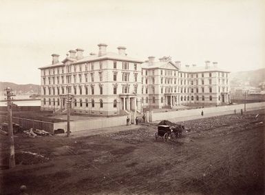 Government Buildings, Wellington, NZ. From the album: Views of New Zealand Scenery/Views of England, N. America, Hawaii and N.Z.