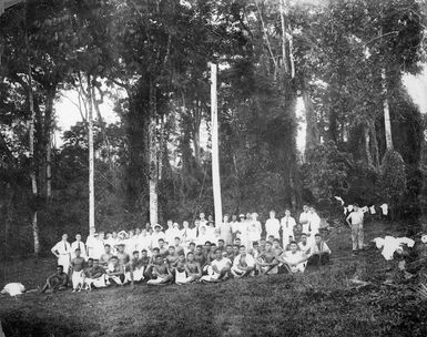 First electric light pole in Western Samoa, erected at Avele School