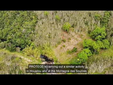 Preserving New Caledonia's drinking water catchment areas