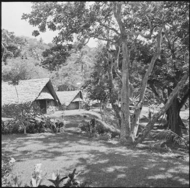 Buildings at a mountain side, east coast of New Caledonia, 1969 / Michael Terry