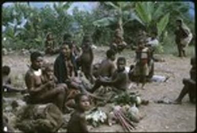 Women and children outside the Cooks' house with garden produce and firewood