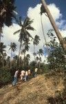 Men entering the jungle