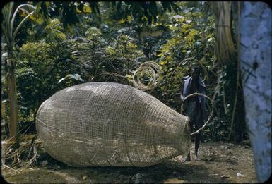 Tolai fish trap : Rabaul, New Britain, Papua New Guinea, 1960-1961 / Terence and Margaret Spencer