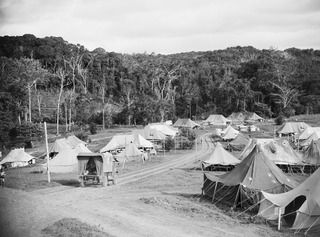 KOITAKI, NEW GUINEA. 1943-06-29. 2/2ND AUSTRALIAN CASUALTY CLEARING STATION SHOWING WARDS