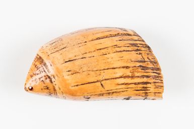 Tabua