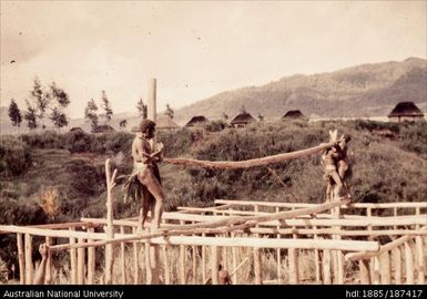 Men building a house