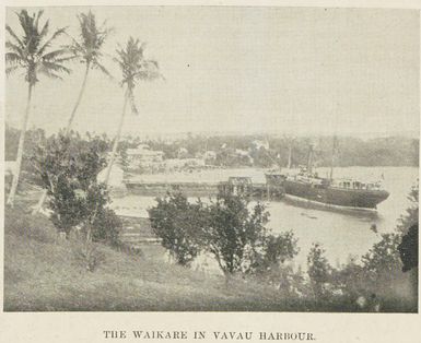 Waikare in Vavau Harbour