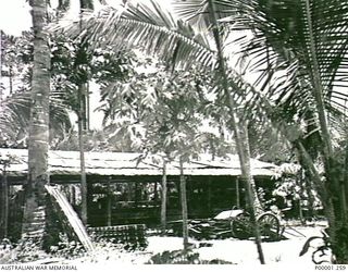 THE SOLOMON ISLANDS, 1945-10-11. PORTION OF A FORMER JAPANESE SUPPLY BASE ON BOUGAINVILLE ISLAND. (RNZAF OFFICIAL PHOTOGRAPH.)