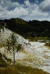 [View of a] river, Sepik District, 1960