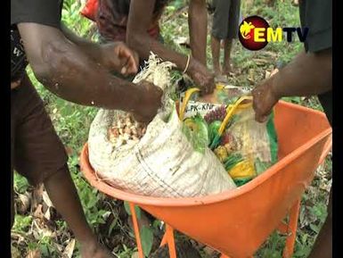 COCOA SURVEILLANCE TIGHTENS