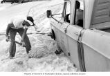 Frank Lowman shoveling sand away from a vehicle mired on Enjebi Island's beach, summer 1964