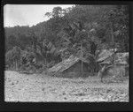 Group of small dwellings on Rennell Island