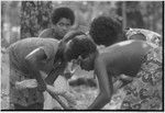 Food preparation: women twist cloth to squeeze milk from grated coconut