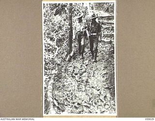 FARIA VALLEY, NEW GUINEA, 1943-10-17. NX74101 CORPORAL A.J. MURRAY (LEFT) AND VX119543 CORPORAL G.W. LANE (RIGHT) OF THE 7TH AUSTRALIAN DIVISION PROVOST COMPANY, PLODDING THROUGH MUD AT THE 2/16TH ..