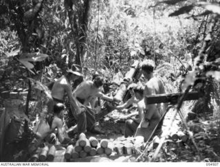 MUBO-SALAMAUA AREA, NEW GUINEA, 1943-07-22. A MOUNTAIN GUN OF THE 1ST AUSTRALIAN MOUNTAIN BATTERY LAYING DOWN A BARRAGE AGAINST THE JAPANESE AT TAMBU. LEFT TO RIGHT:- QX37273 GUNNER T. NELSON; ..