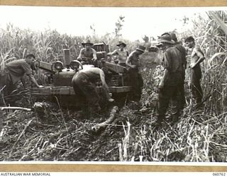 RAMU VALLEY, NEW GUINEA. 1943-11-26. TROOPS OF THE 2/4TH AUSTRALIAN FIELD REGIMENT HARD AT WORK TRYING TO EXTRICATE ONE OF THEIR CATERPILER TRACTORS WHICH HAS BECOME BADLY BOGGED IN SWAMPY GROUND ..