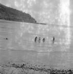 Women in water with fishing net