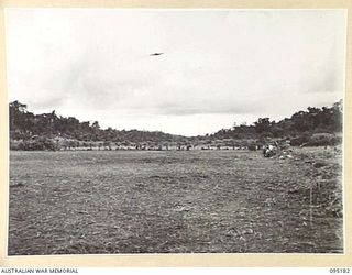 KIARIVU, NEW GUINEA, 1945-08-11. THE AIRSTRIP BEGINNING TO TAKE SHAPE AS HUNDREDS OF NATIVES EMPLOYED BY AUSTRALIAN NEW GUINEA ADMINISTRATIVE UNIT CUT THE STRIP OF EVERY BLADE OF KUNAI GRASS ..