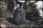 Archaeologists Kenneth Emory and Pierre Verin examine Ti'i (tiki) statue used as boundary marker